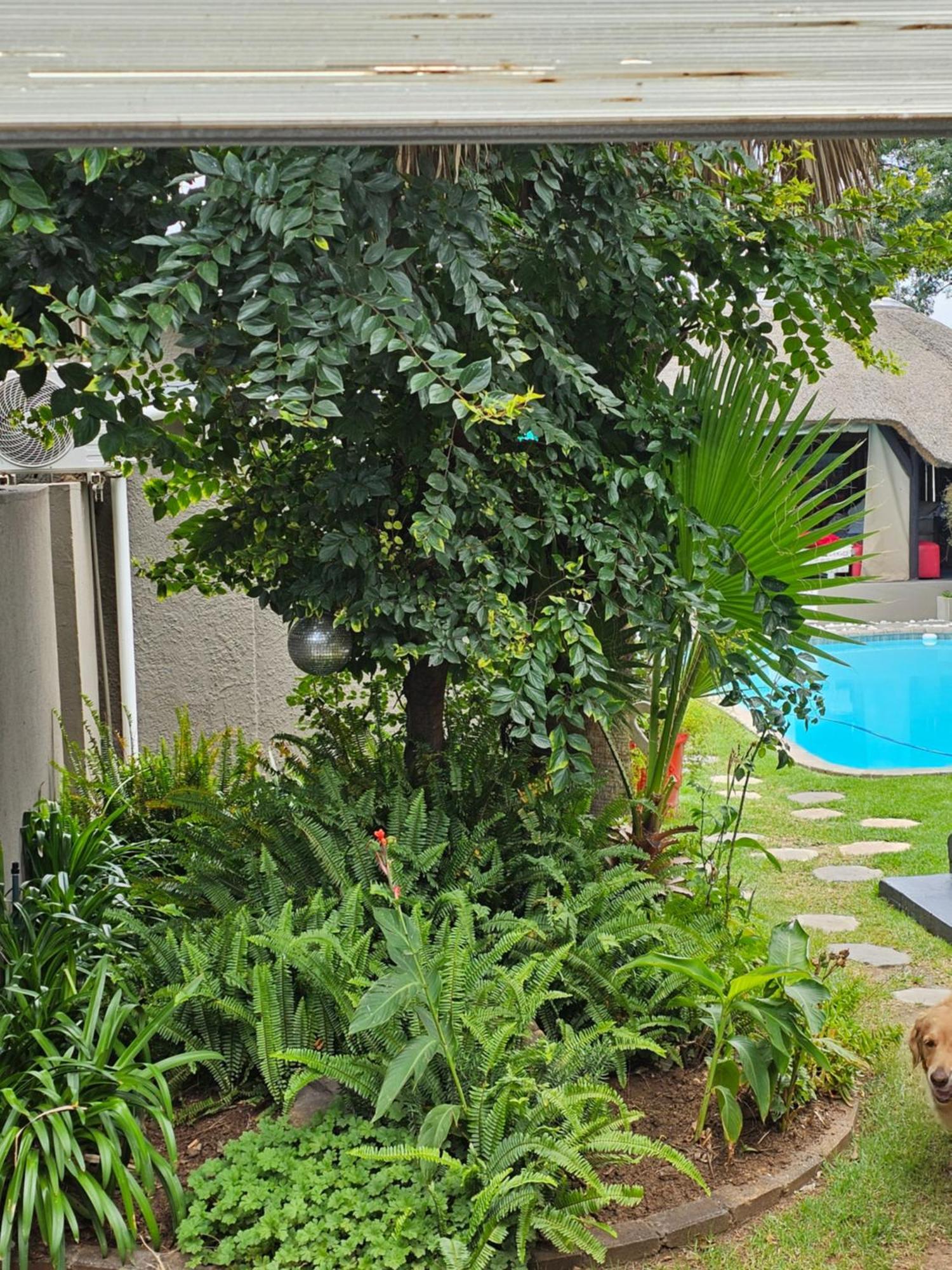 The Armagh Guesthouse Boksburg Ngoại thất bức ảnh